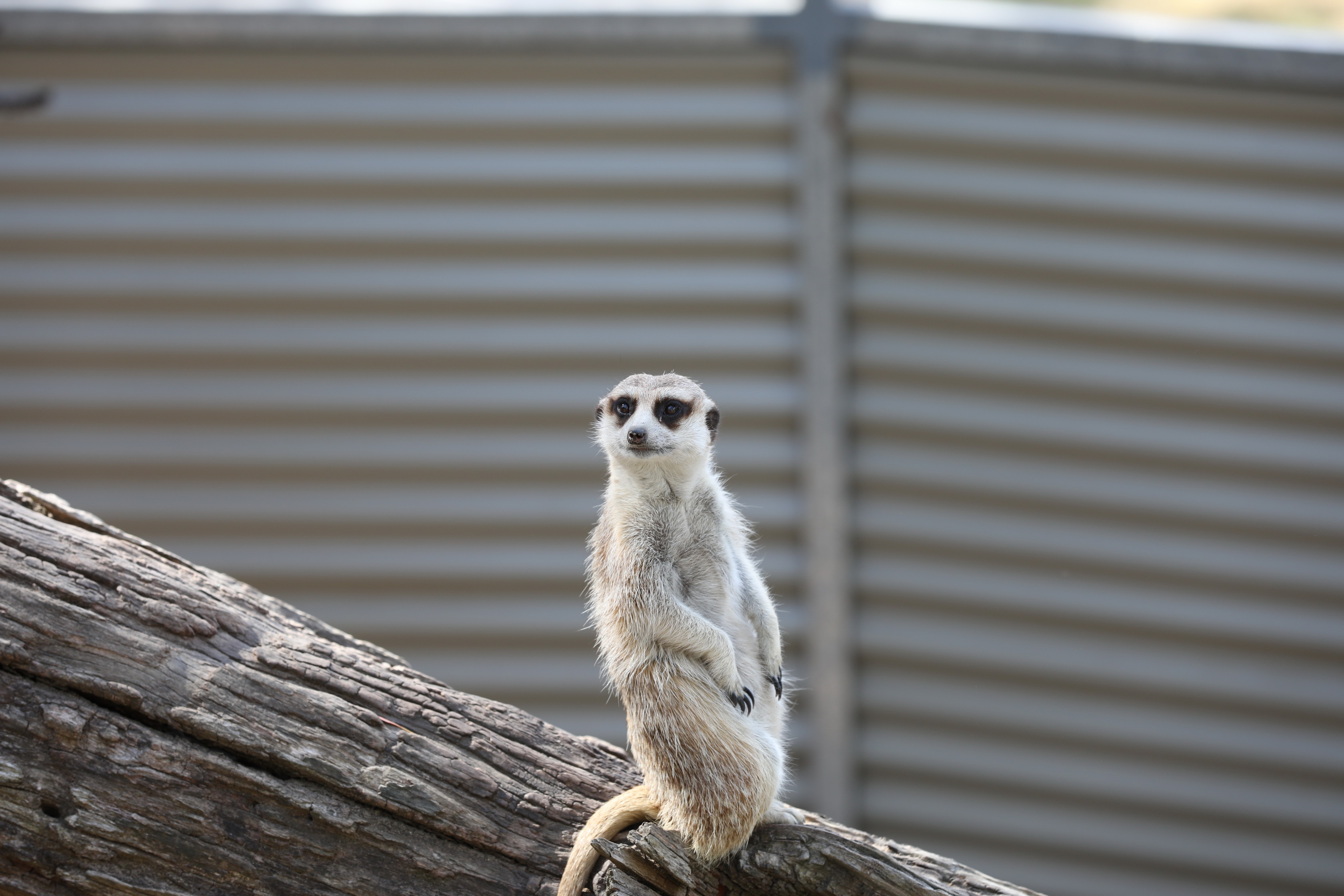 2019 11 22 16 29 16 Canon EOS 5D Mark IV 0030